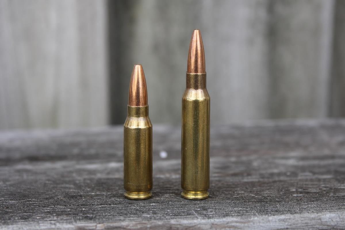 Two rifle cartridges standing on a wooden surface.